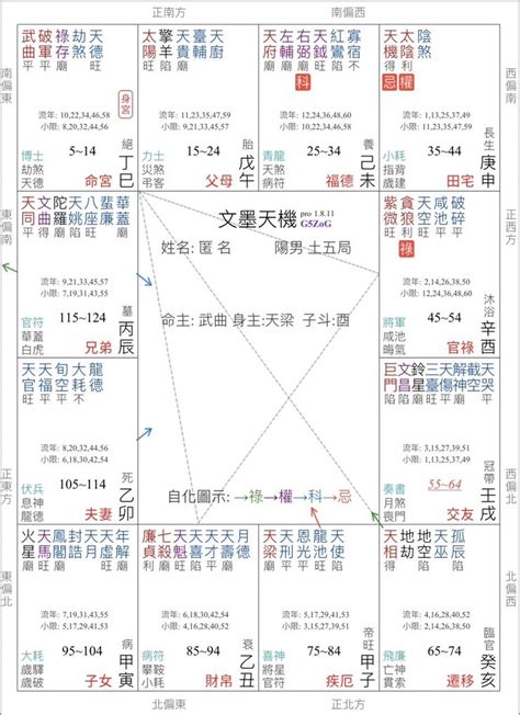 武曲破軍|紫微命盤解析——武曲、破軍于巳亥宮守命宮